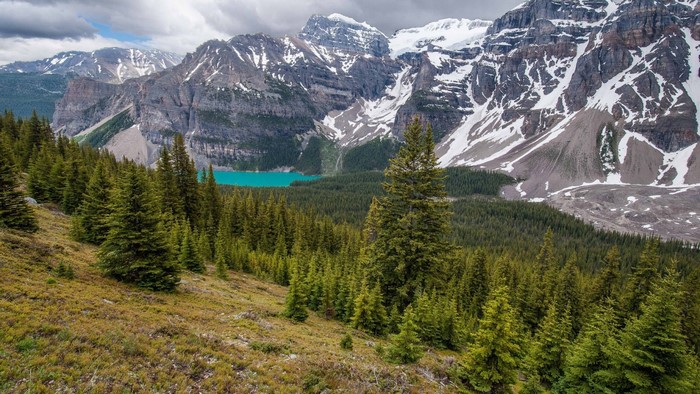 Turquoise lake surrounded by pine forest and snow-capped mountains