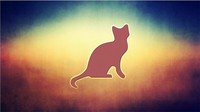 Silhouette of a cat against a colorful gradient background