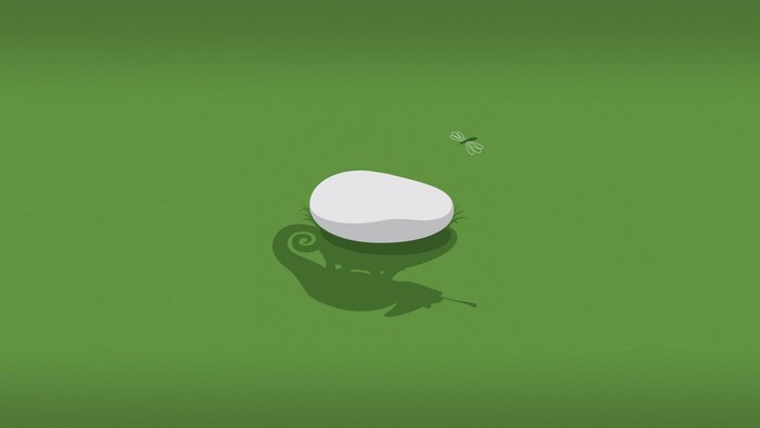 Minimalist illustration of a snail and a dragonfly