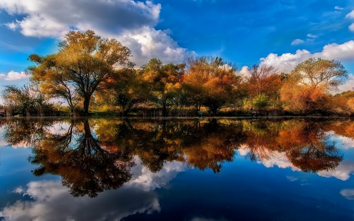 Autumn trees reflected in calm water under a blue sky with clouds