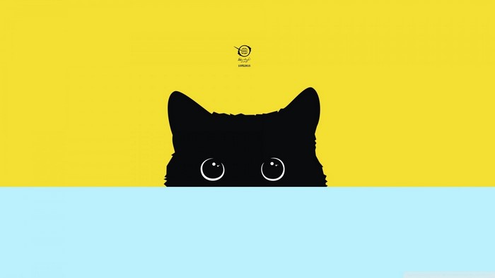 Minimalist black cat peeking over a blue surface