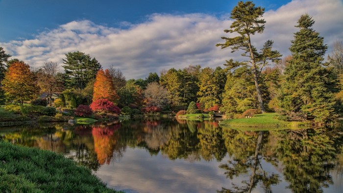 Autumn garden with a lake and reflections