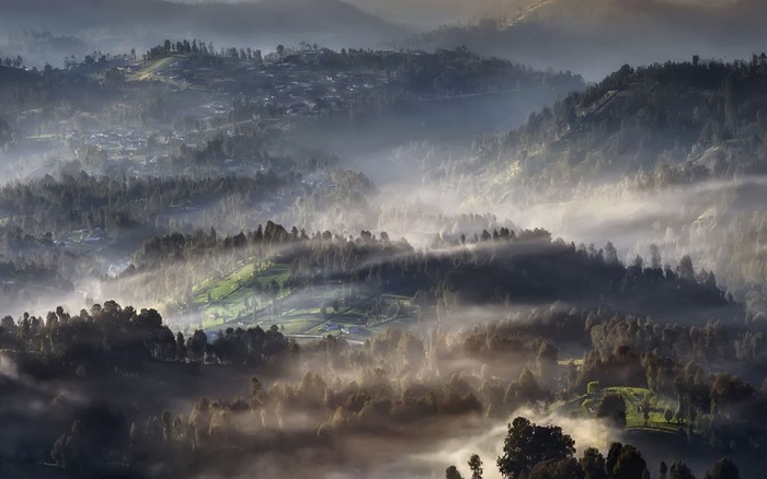 Misty mountains with sunlight filtering through trees