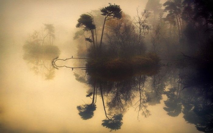 Misty lake with trees and reflections at sunrise