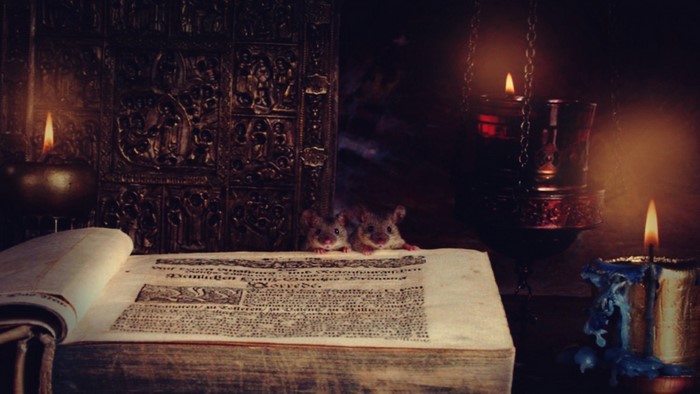 Two mice peek over an old book by candlelight