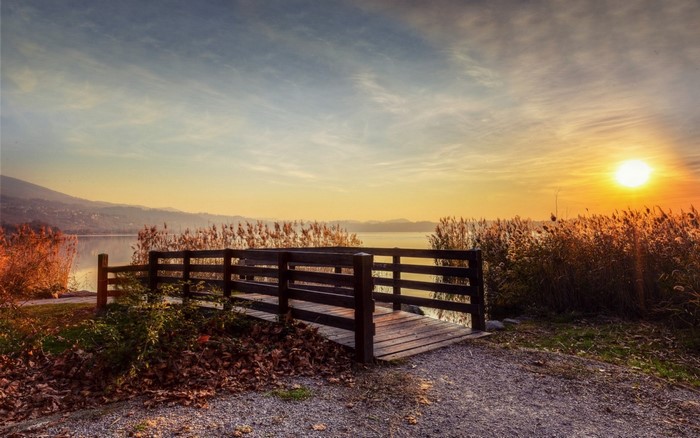 Wooden bridge over a lake at sunset with reeds
