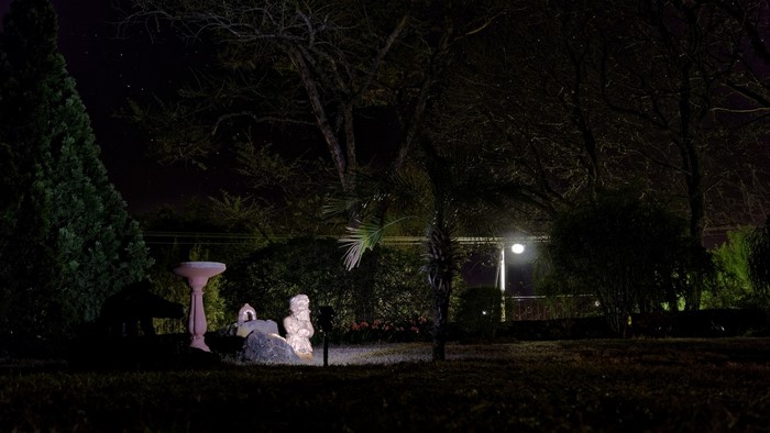 Night garden with statues and bird bath