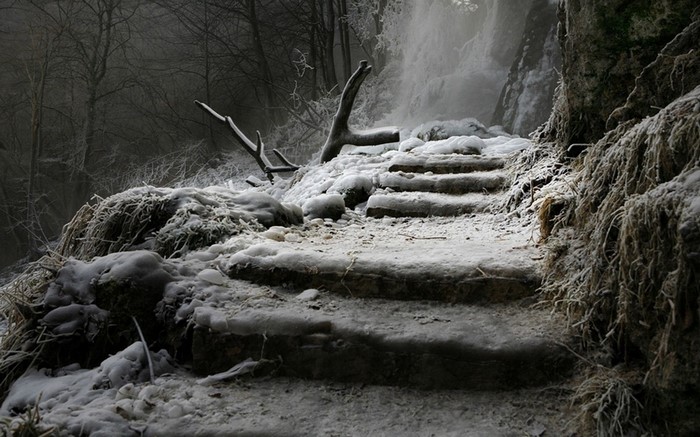 Frozen stairs leading to a waterfall in a winter forest