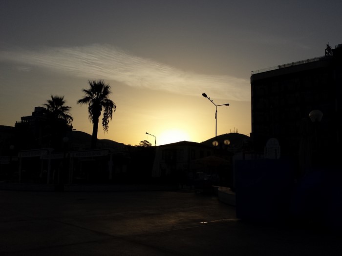 Silhouette of palm trees and buildings at sunset