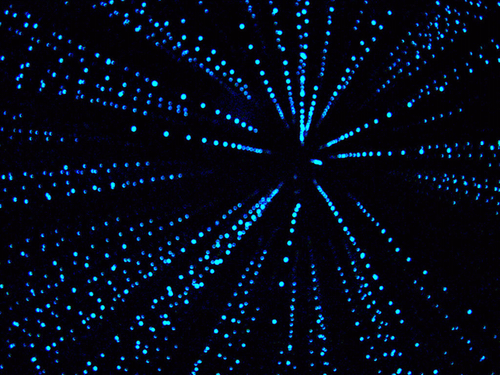 Abstract blue lights in a dark space