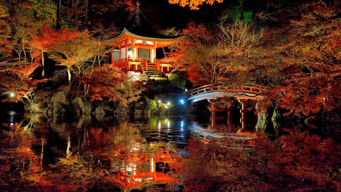 Japanese temple and bridge at night with autumn leaves