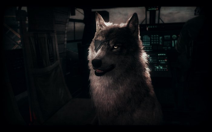 Wolf with an eyepatch from Metal Gear Solid V