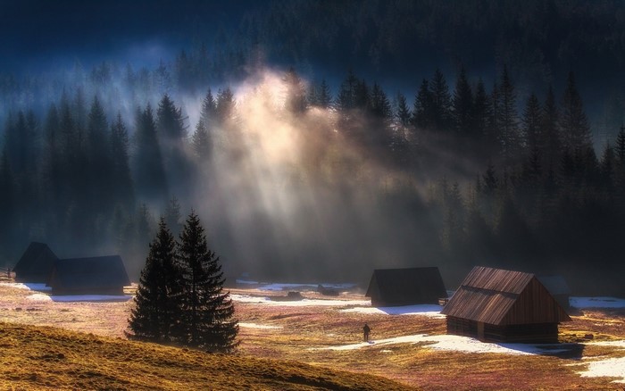 Misty forest with sun rays and cabins