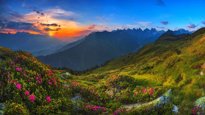 Sunset Over Tyrolean Mountain Ridge with Wildflowers
