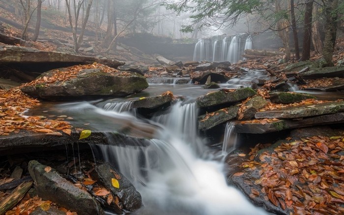 Waterfall in a misty forest during autumn