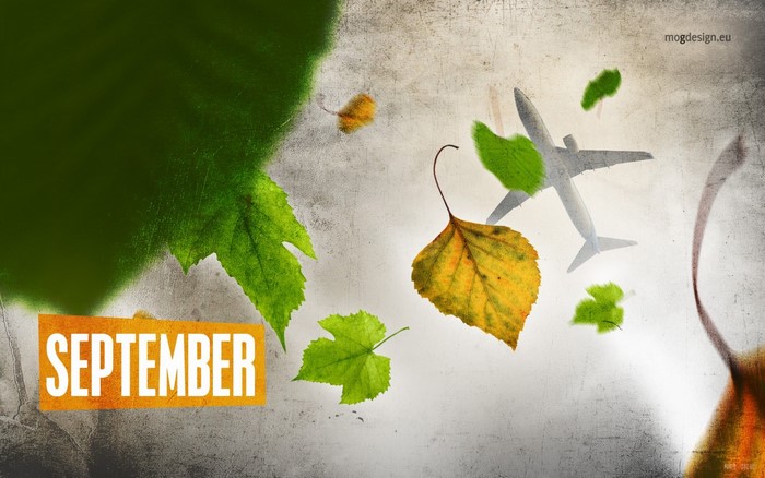 September airplane and falling leaves