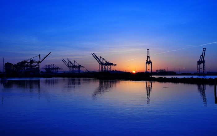 Cranes at sunrise over the water
