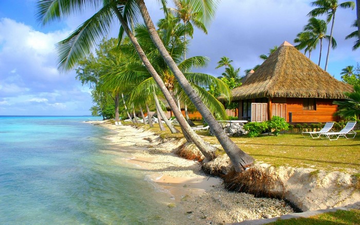 Tropical beach resort with palm trees and bungalows