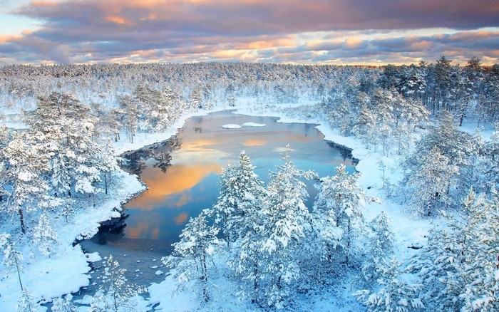 Snowy forest landscape with a lake reflecting sunset clouds