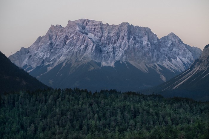 Snow-capped mountains above a dark forest