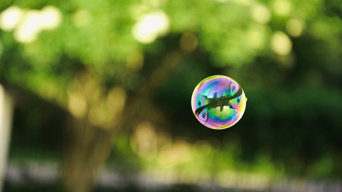 A colorful bubble reflects trees and sky