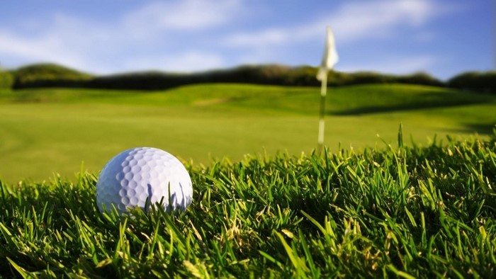 Golf ball on a golf course with a flag