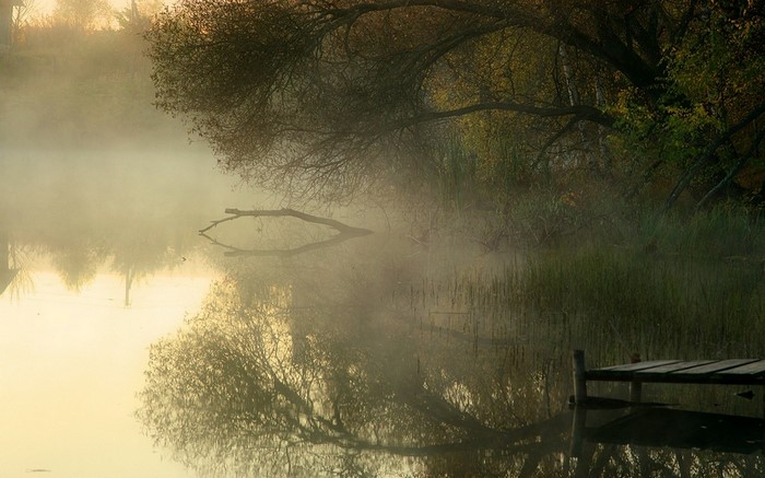 Misty lake with trees and a wooden dock at sunrise