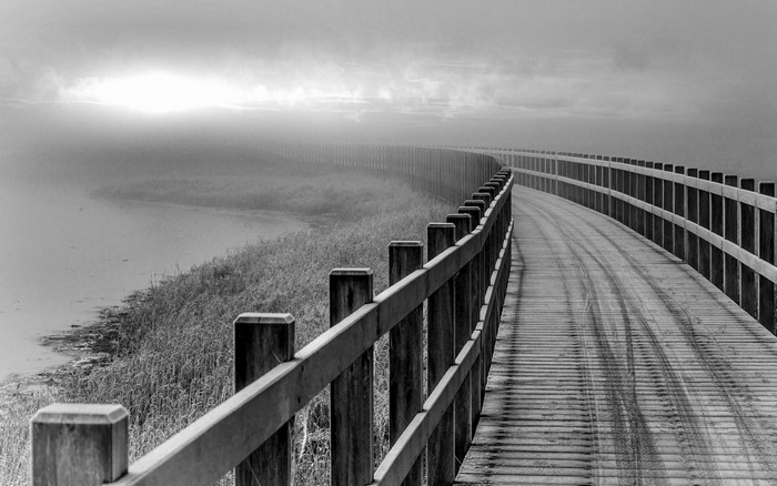 Wooden boardwalk over a misty lake