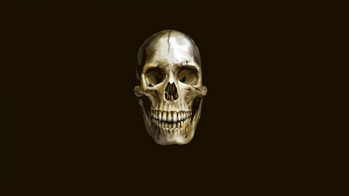 Digital painting of a human skull