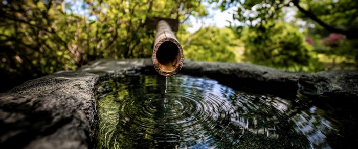 Bamboo fountain dripping water into stone basin in garden