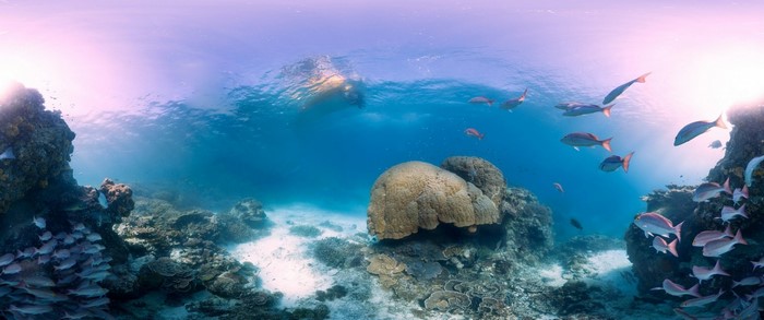 Underwater coral reef with fish and boat