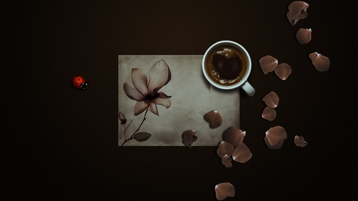 Ladybug on a dark surface with coffee and flower illustration