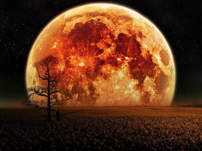 Fantasy art of a large orange moon over a field with a tree