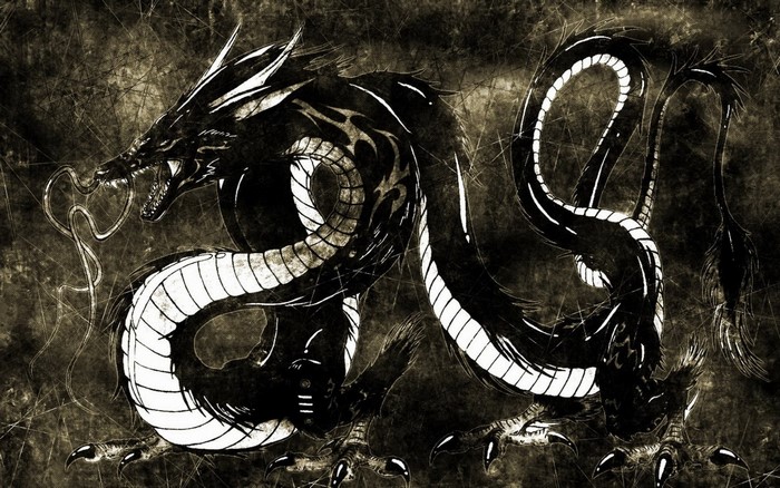 Black dragon with white markings on a textured background