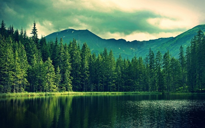 Lake and forest with mountains under cloudy sky