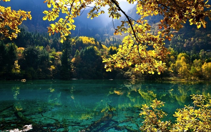 Autumn forest reflected in a clear lake
