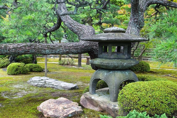Stone lantern in a Japanese garden with pine trees