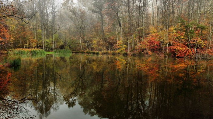 Autumn forest reflected in a calm lake on a foggy morning