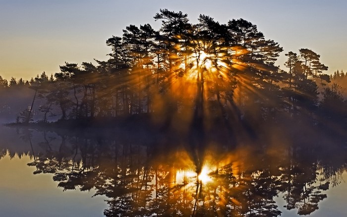 Sun rays through trees reflecting in water at sunrise