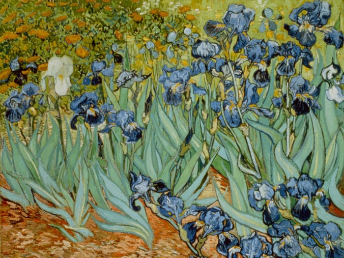 Vincent van Gogh's Vibrant Iris Painting