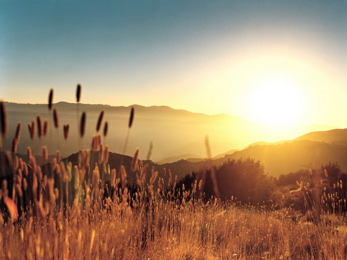 Golden sunrise over misty mountains with dry grass in foreground