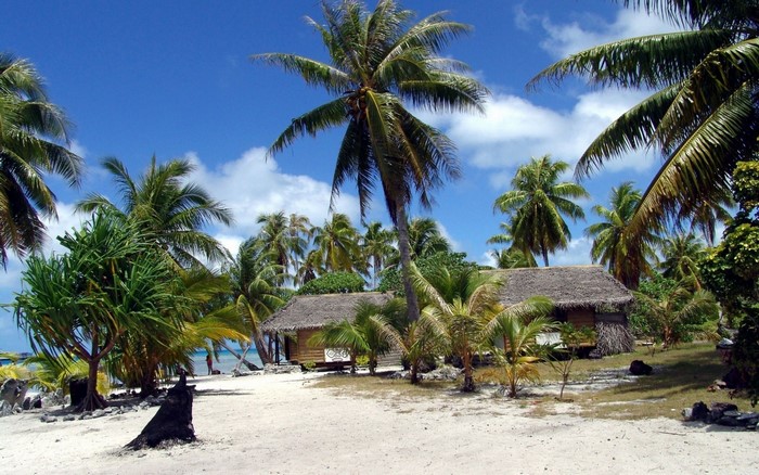 Tropical beach with palm trees and thatched huts