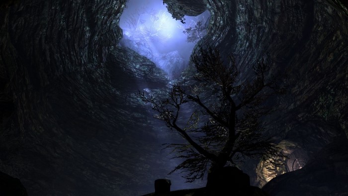 Cave interior with moonlight and bare tree