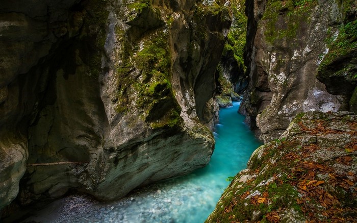 Turquoise river flowing through a mossy canyon in Slovenia