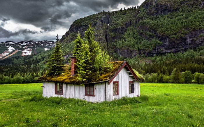 Abandoned house with mossy roof in a green meadow with mountains