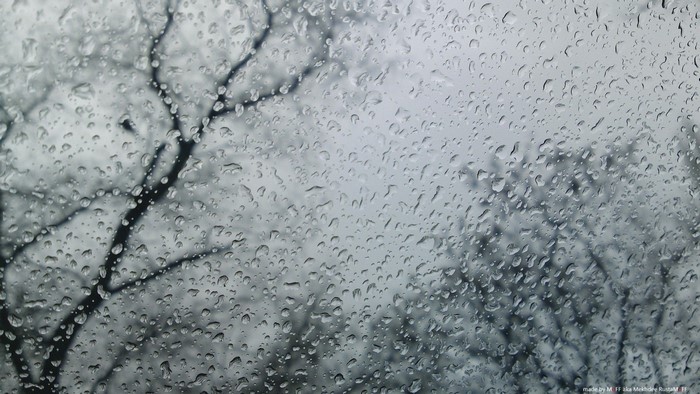 Raindrops on glass with bare tree branches