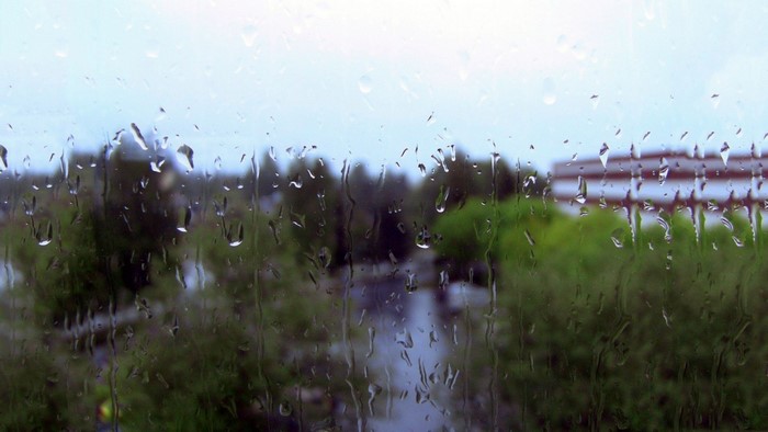 Raindrops on glass overlooking trees and building