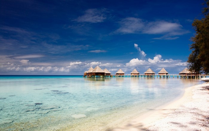 Overwater bungalows in a tropical lagoon under a blue sky