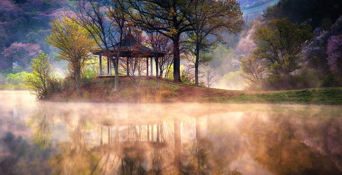 Gazebo by a misty lake in a forest during spring