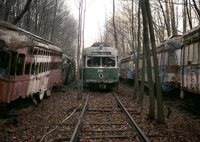 Abandoned trolleys in a forest